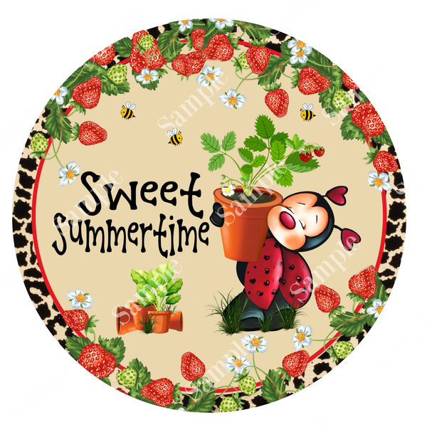 Sweet Summertime Ladybug Sign, Wreath Supplies, Wreath Attachment, Door Hanger, Wreath Sign